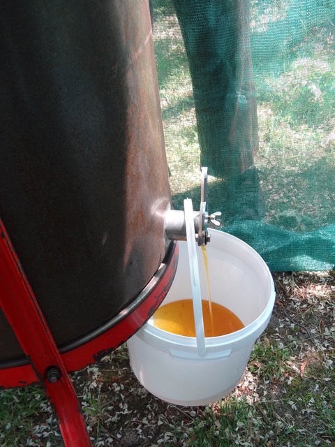 Extracting honey
